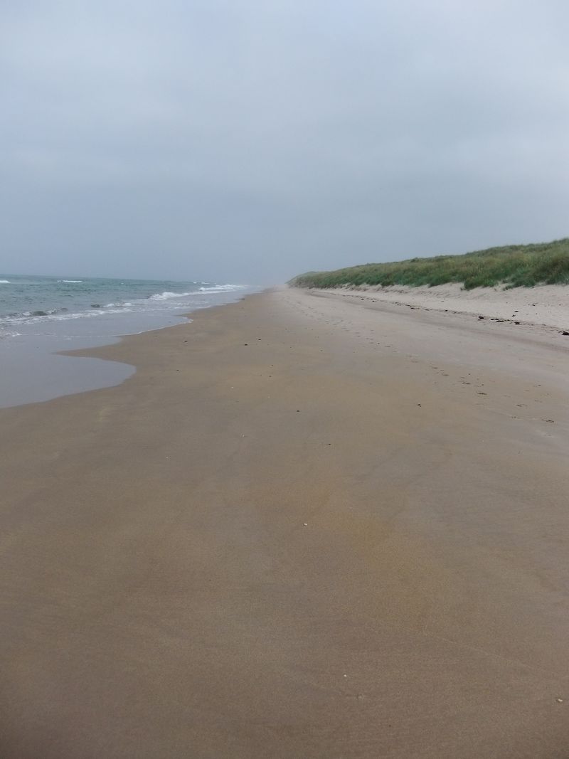 Northumberland July 2013 006