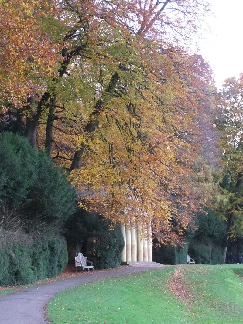 Fountains Abbey Nov 2013 018