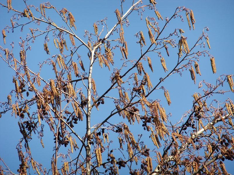 March 2016 one 029